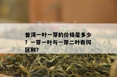 普洱一叶一芽的价格是多少？一芽一叶与一芽二叶有何区别？