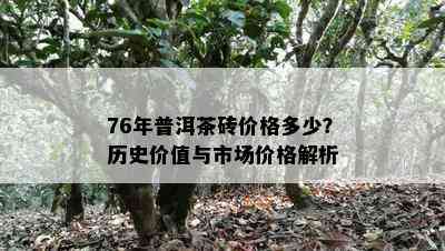 76年普洱茶砖价格多少？历史价值与市场价格解析