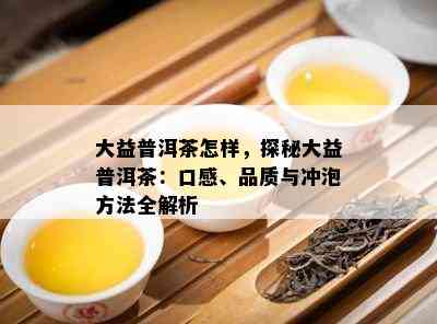 大益普洱茶怎样，探秘大益普洱茶：口感、品质与冲泡方法全解析