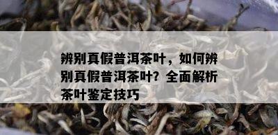 辨别真假普洱茶叶，如何辨别真假普洱茶叶？全面解析茶叶鉴定技巧