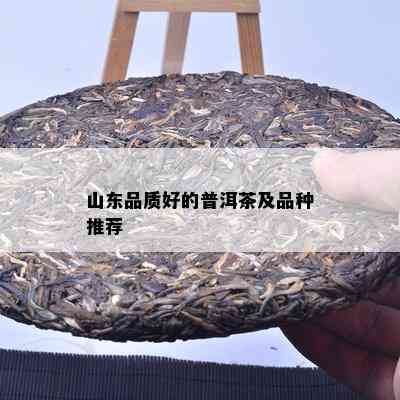 山东品质好的普洱茶及品种推荐