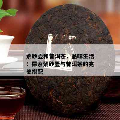 紫砂壶和普洱茶，品味生活：探索紫砂壶与普洱茶的完美搭配