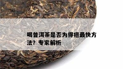 喝普洱茶是否为得癌最快方法？专家解析