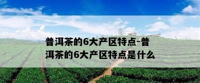 普洱茶的6大产区特点-普洱茶的6大产区特点是什么