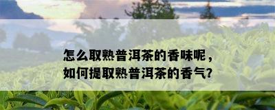 怎么取熟普洱茶的香味呢，如何提取熟普洱茶的香气？