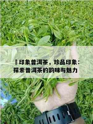 瑧印象普洱茶，珍品印象：探索普洱茶的韵味与魅力