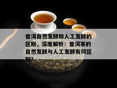 普洱自然发酵和人工发酵的区别，深度解析：普洱茶的自然发酵与人工发酵有何区别？