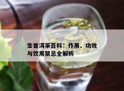 生普洱茶百科：作用、功效与饮用禁忌全解析