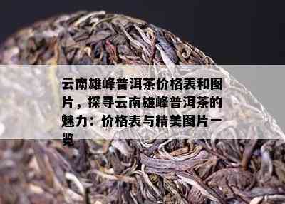 云南雄峰普洱茶价格表和图片，探寻云南雄峰普洱茶的魅力：价格表与精美图片一览