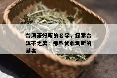 普洱茶好听的名字，探索普洱茶之美：那些优雅动听的茶名