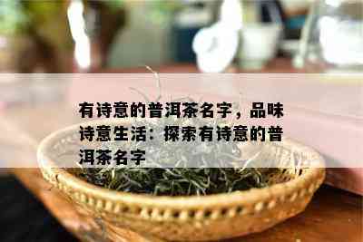 有诗意的普洱茶名字，品味诗意生活：探索有诗意的普洱茶名字