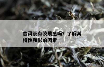 普洱茶有胶质感吗？了解其特性和影响因素