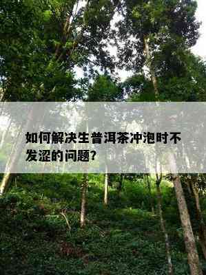 如何解决生普洱茶冲泡时不发涩的问题？