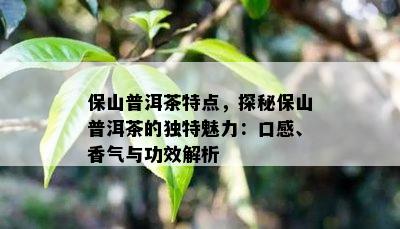 保山普洱茶特点，探秘保山普洱茶的独特魅力：口感、香气与功效解析