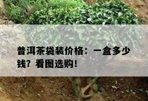 普洱茶袋装价格：一盒多少钱？看图选购！