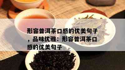 形容普洱茶口感的优美句子，品味优雅：形容普洱茶口感的优美句子