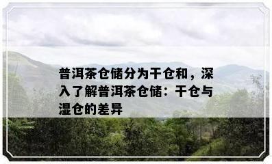 普洱茶仓储分为干仓和，深入了解普洱茶仓储：干仓与湿仓的差异