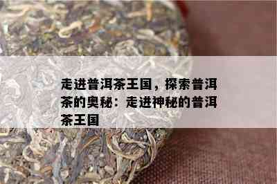 走进普洱茶王国，探索普洱茶的奥秘：走进神秘的普洱茶王国