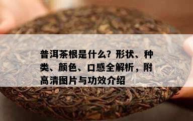 普洱茶根是什么？形状、种类、颜色、口感全解析，附高清图片与功效介绍