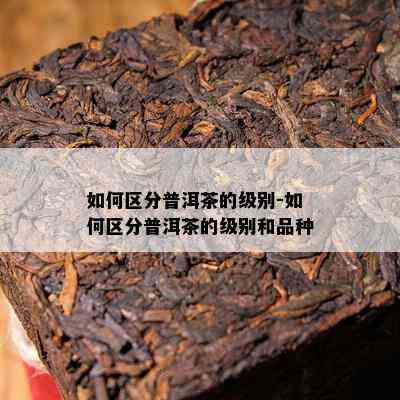 如何区分普洱茶的级别-如何区分普洱茶的级别和品种