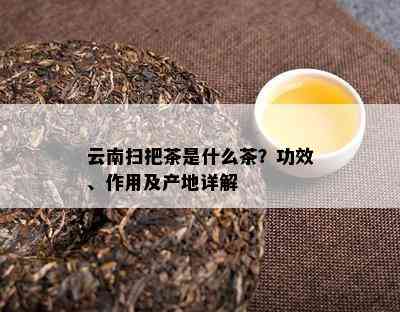 云南扫把茶是什么茶？功效、作用及产地详解