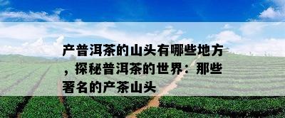 产普洱茶的山头有哪些地方，探秘普洱茶的世界：那些著名的产茶山头