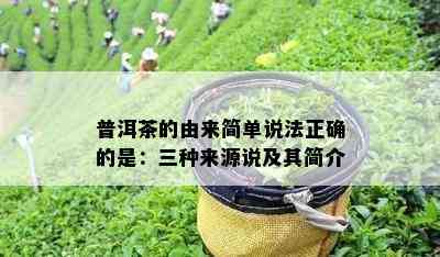 普洱茶的由来简单说法正确的是：三种来源说及其简介