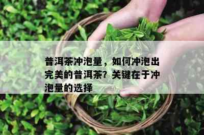 普洱茶冲泡量，如何冲泡出完美的普洱茶？关键在于冲泡量的选择