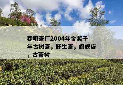 春明茶厂2004年金奖千年古树茶，野生茶，旗舰店，古茶树