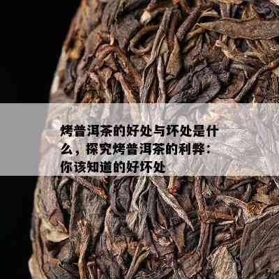 烤普洱茶的好处与坏处是什么，探究烤普洱茶的利弊：你该知道的好坏处