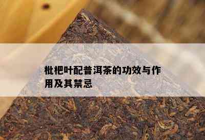 枇杷叶配普洱茶的功效与作用及其禁忌