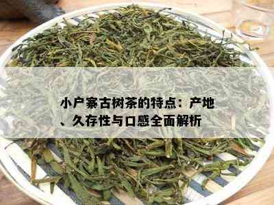 小户寨古树茶的特点：产地、久存性与口感全面解析