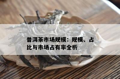 普洱茶市场规模：规模、占比与市场占有率全析