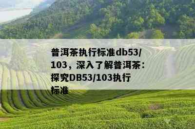 普洱茶执行标准db53/103，深入了解普洱茶：探究DB53/103执行标准