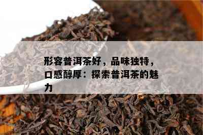 形容普洱茶好，品味独特，口感醇厚：探索普洱茶的魅力