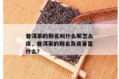 普洱茶的别名叫什么呢怎么读，普洱茶的别名及读音是什么？