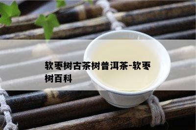 软枣树古茶树普洱茶-软枣树百科