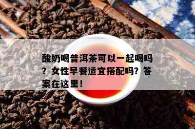 酸奶喝普洱茶可以一起喝吗？女性早餐适宜搭配吗？答案在这里！