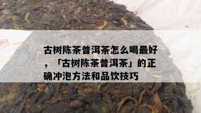 古树陈茶普洱茶怎么喝更好，「古树陈茶普洱茶」的正确冲泡方法和品饮技巧