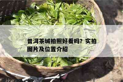 普洱茶城拍照好看吗？实拍图片及位置介绍