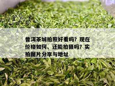 普洱茶城拍照好看吗？现在价格如何、还能拍摄吗？实拍图片分享与地址