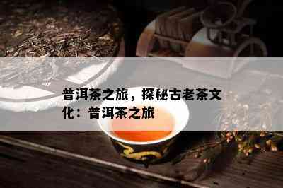 普洱茶之旅，探秘古老茶文化：普洱茶之旅