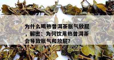 为什么喝熟普洱茶胀气放屁，解密：为何饮用熟普洱茶会导致胀气和放屁？