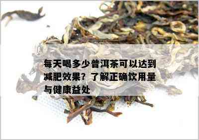 每天喝多少普洱茶可以达到减肥效果？了解正确饮用量与健康益处