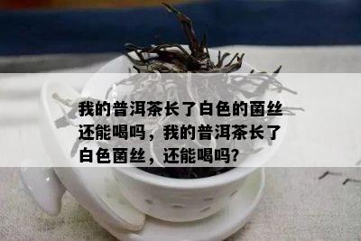 我的普洱茶长了白色的菌丝还能喝吗，我的普洱茶长了白色菌丝，还能喝吗？