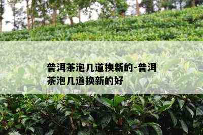 普洱茶泡几道换新的-普洱茶泡几道换新的好