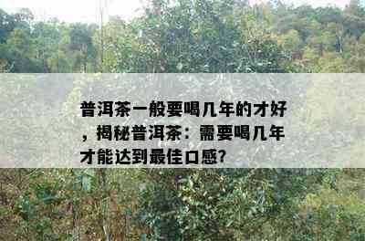 普洱茶一般要喝几年的才好，揭秘普洱茶：需要喝几年才能达到更佳口感？