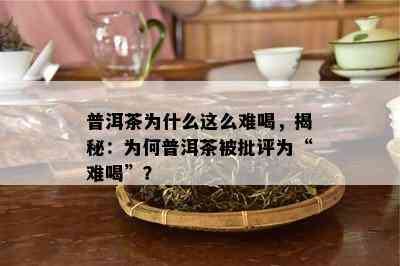 普洱茶为什么这么难喝，揭秘：为何普洱茶被批评为“难喝”？