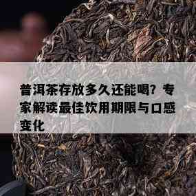 普洱茶存放多久还能喝？专家解读更佳饮用期限与口感变化