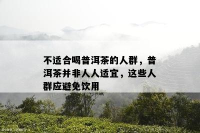 不适合喝普洱茶的人群，普洱茶并非人人适宜，这些人群应避免饮用